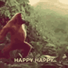 Ape Dance Happy Happy GIF - Ape Dance Happy Happy Grooves GIFs