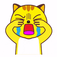 yellow cat sad crying tears teary eyes