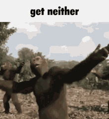 Get Neither GIF - Get Neither GIFs