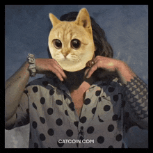 Catcoin Cats GIF - Catcoin Cat Cats GIFs
