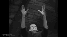 Experiencing Light For The First Time GIF - Frankenstein Jameswhale Boriskarloff GIFs