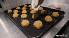 a bunch of cookies on a tray that says made in animonica
