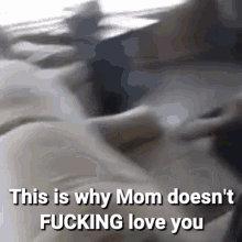 Mom Doesnt Love You Mom Doesnt Fucking Love You GIF - Mom Doesnt Love You Mom Doesnt Fucking Love You This Is Why Mom Doesnt Love You GIFs