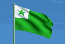 Esperanto De Esperanto Flago GIF - Esperanto De Esperanto Flago Animacia Flago GIFs