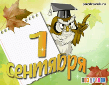 1 сентября школа с днем знаний сентябрь GIF - Pervoe Sentyabrya Shcola GIFs