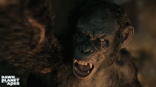 dawn of the planet of the apes koba vs caesar