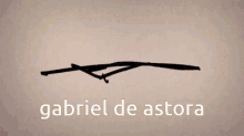 Gabriel De Astora Juros300litro GIF - Gabriel De Astora Juros300litro Jurada GIFs