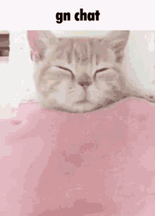 Gn Chat Gn GIF - Gn Chat Gn Good Night GIFs