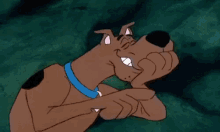Scooby Doo GIF - Scooby Doo Cartoon Dessin Anime GIFs