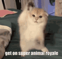 super animal royale sar animal royale cat