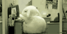Adorable Bunny GIF - Skullemoji GIFs