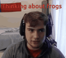 Sapnap Frogs GIF - Sapnap Frogs Sapnap Frogs GIFs