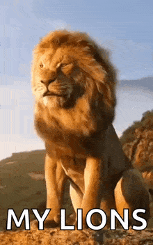 Lion King Lion GIF - Lion King Lion Animal GIFs