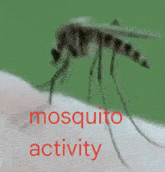 Mosquito Activity GIF