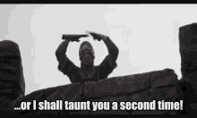 Monty Python And The Holy Grail GIF - Monty Python And The Holy Grail Taunt GIFs