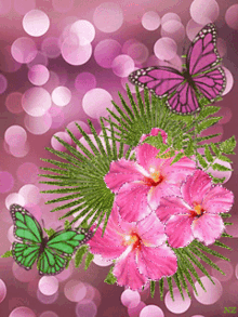 Butterflies Flower GIF - Butterflies Flower Gumamela GIFs