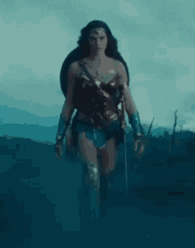Wonderwoman Gal Gadot GIF - Wonderwoman Gal Gadot Superhero GIFs