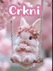 a bunny wearing a flower crown sits on a swing with the name crkni above it