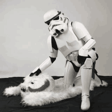 Star Wars Stormtrooper GIF - Star Wars Stormtrooper Petting GIFs