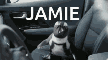 Jamie Penguin GIF - Jamie Penguin Screaming GIFs