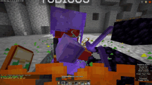 a screenshot of a minecraft game with a purple skeleton