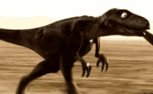 rex dinosaur running run run fast