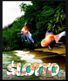 a picture of two fish and the word lotto