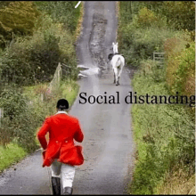 Socialdistancehorseranoff GIF - Socialdistancehorseranoff GIFs