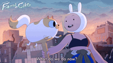 What Do We Do Now Fionna Campbell GIF - What Do We Do Now Fionna Campbell Cake GIFs