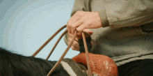 a close up of a person riding a horse with a saddle