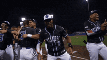 Indiana State Indiana State Sycamores GIF - Indiana State Indiana State Sycamores Indiana State Baseball GIFs