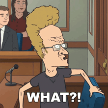 a cartoon of a man in a courtroom with the words what written on the bottom