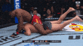 ufc heavyweight bout between almeida and spinac