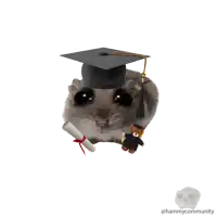 a hamster wearing a graduation cap with a teddy bear next to it