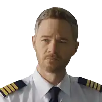 a man with a beard is wearing a white shirt and a tie