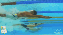 Swimming Pool GIF - Swimming Pool Competition GIFs