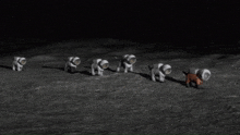 a group of astronauts standing on the moon