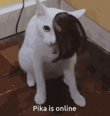 Pika Is Online GIF - Pika Is Online GIFs
