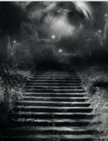 Stairs Starway GIF - Stairs Starway Staircase GIFs