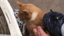GIF