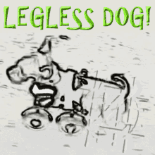 Lazgevitleglessdog Zizbilitld GIF - Lazgevitleglessdog Zizbilitld Zlleglessdog GIFs
