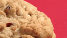 a close up of a cookie with chocolate chips on a red background