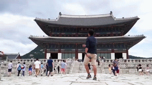 Cultural Explorer in Japan