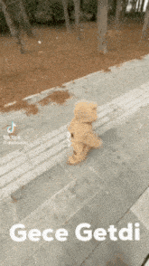 a teddy bear is walking down a sidewalk with the words " gece getdi " below it