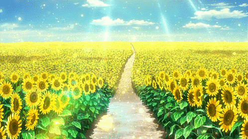 Anime Girl Sunflower Field Scenery 4K Phone iPhone Wallpaper #854a