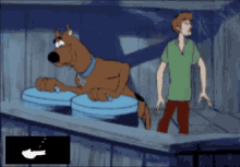Scooby Shaggy GIF - Scooby Shaggy High GIFs