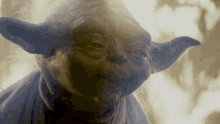 Yoda My Stick GIF - Yoda My Stick Star Wars GIFs