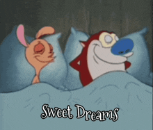 two cartoon characters laying in bed with the words sweet dreams written on the bottom