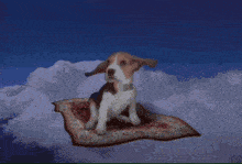 a dog is sitting on a carpet in the clouds
