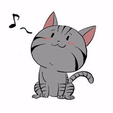 cute cat kitty gray music